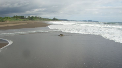Ostional, Pacific
